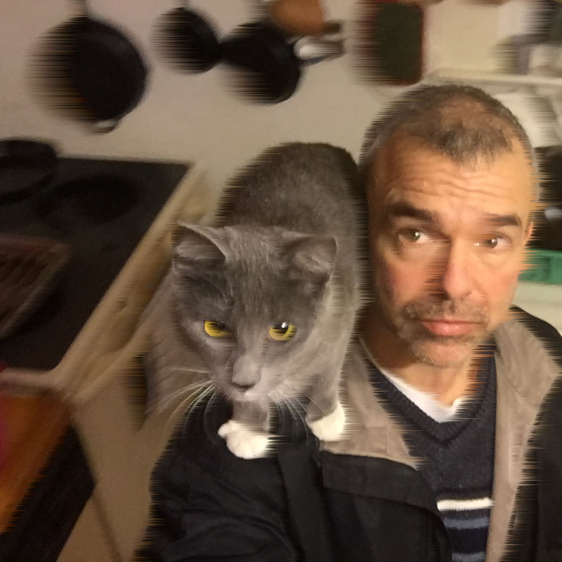 selfie with cat